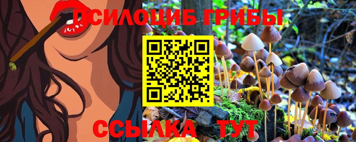 Кодеин  Вход с VPN  NBOMe  Черногорск  Каннабис  Лсд 25  Alpha PVP СК кристаллы  Мефедрон кристаллы 