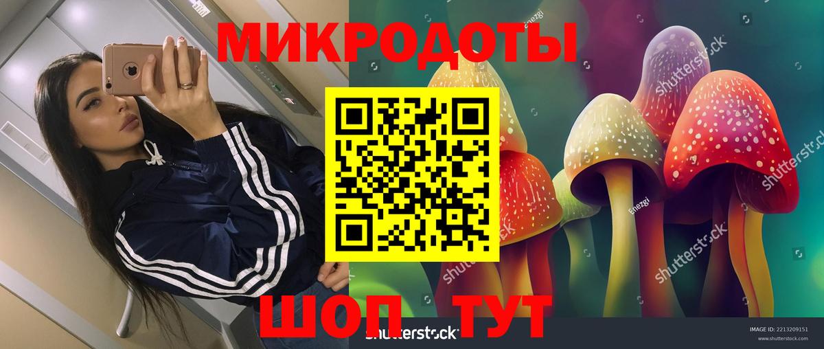 Черногорск  Псилоцибиновые грибы GOLDEN TEACHER  Вход с VPN  Галлюциногенные грибы Psilocybe 