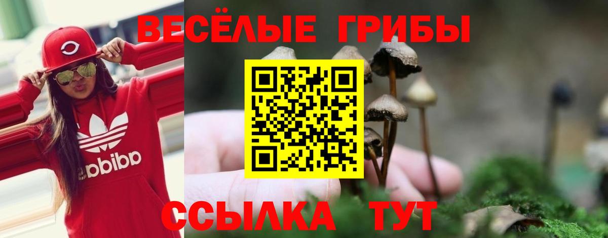 Псилоцибиновые грибы мицелий Черногорск